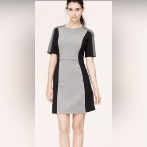 LOFT SHORT SLEEVE FITTED BLACK AND GREY ZIPPERED BACK DRESS SIZE SMALL